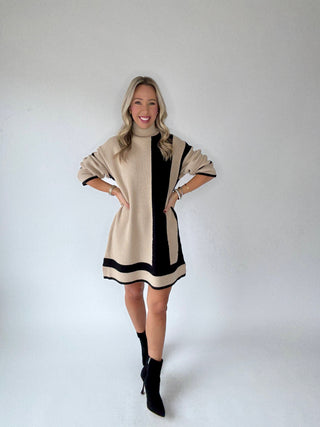 Refined Contrast Turtle Neck Sweater Dress