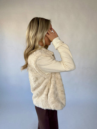 The Frosted Faux Fur Jacket