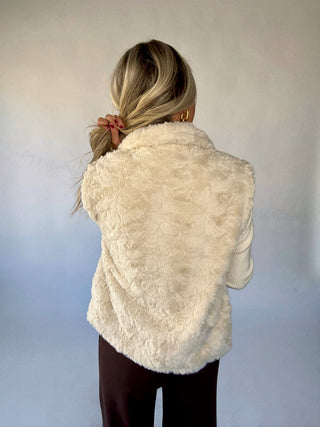 The Frosted Faux Fur Jacket