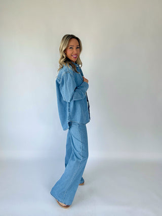 Haven Striped Denim Top