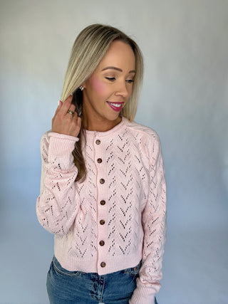 Everything Nice Cardigan - Pink