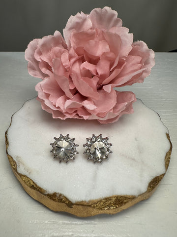 Crown Jewel Stud Earrings -Silver