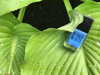 Dew Drops Light Blue Nail Polish with Leaf